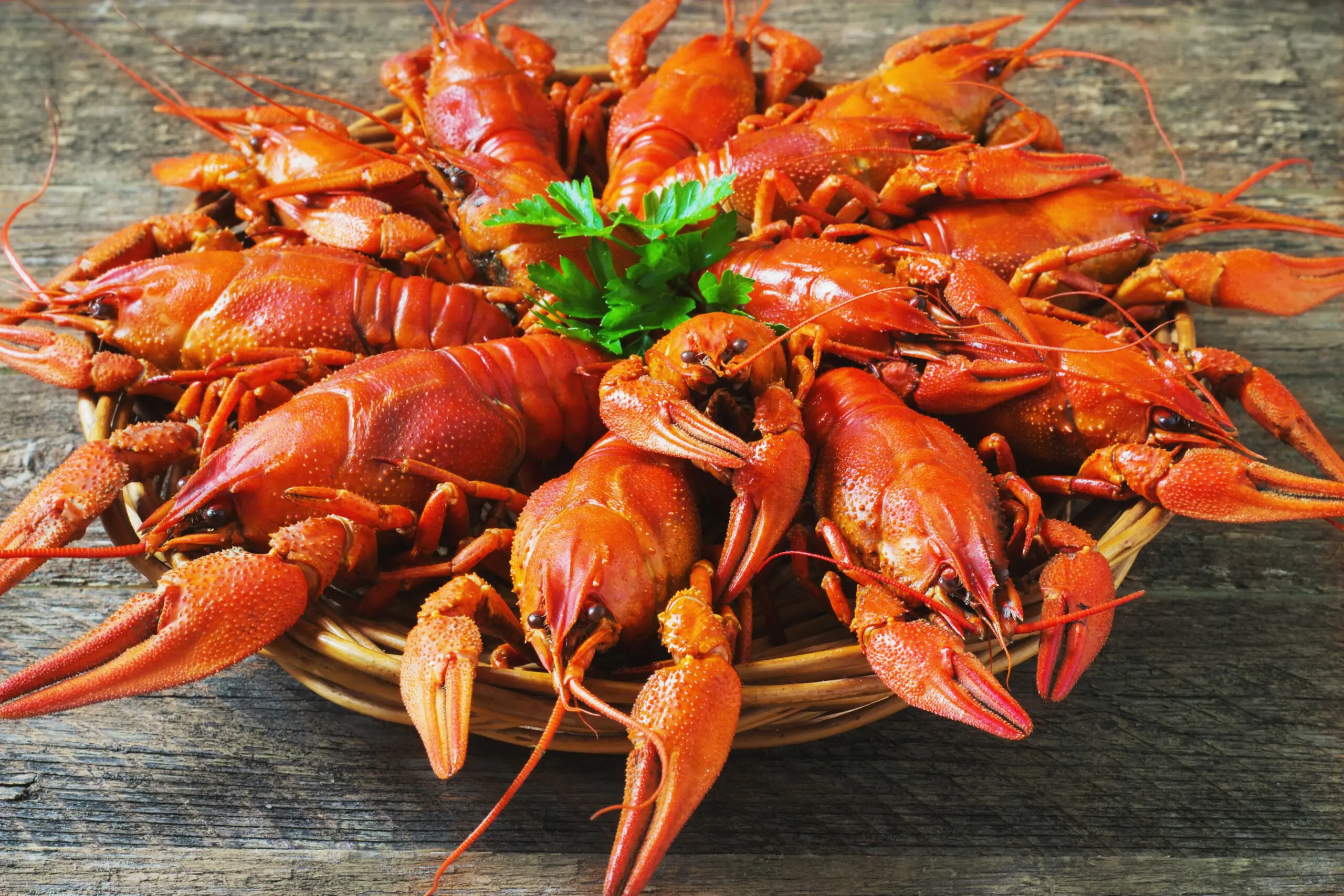DnT-Crawfish-scaled.jpg
